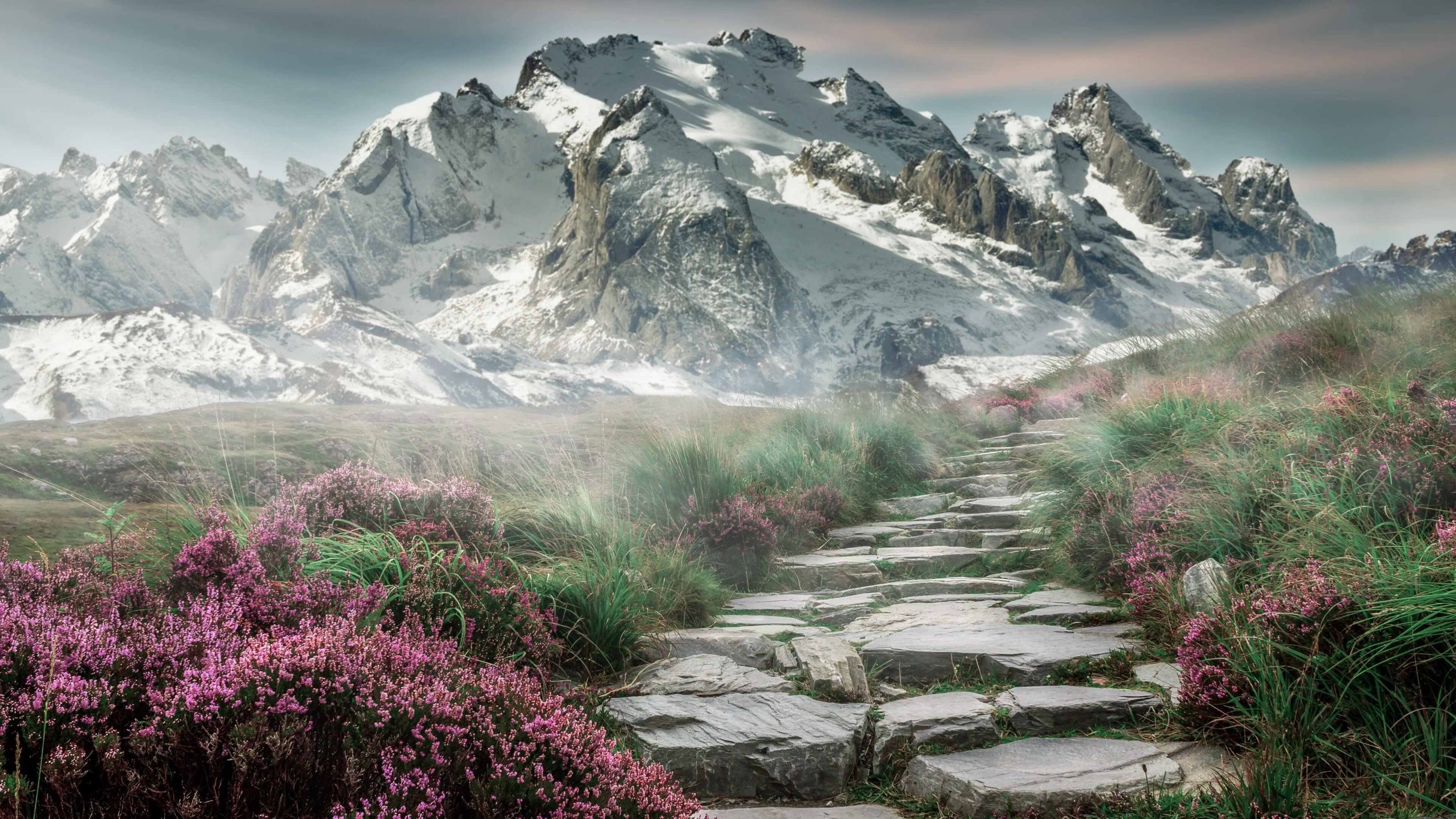 v7.2.5版本正式上线，2026年2月19日开启智能新纪元